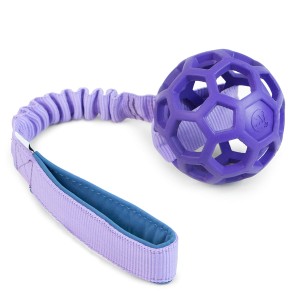 JW Pet Hol-EE Roller ball with bungee