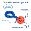 Chuckit! Breathe Right Ball.png