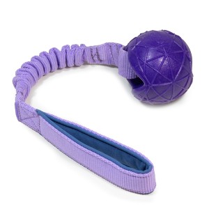 Moby Ball with bungee